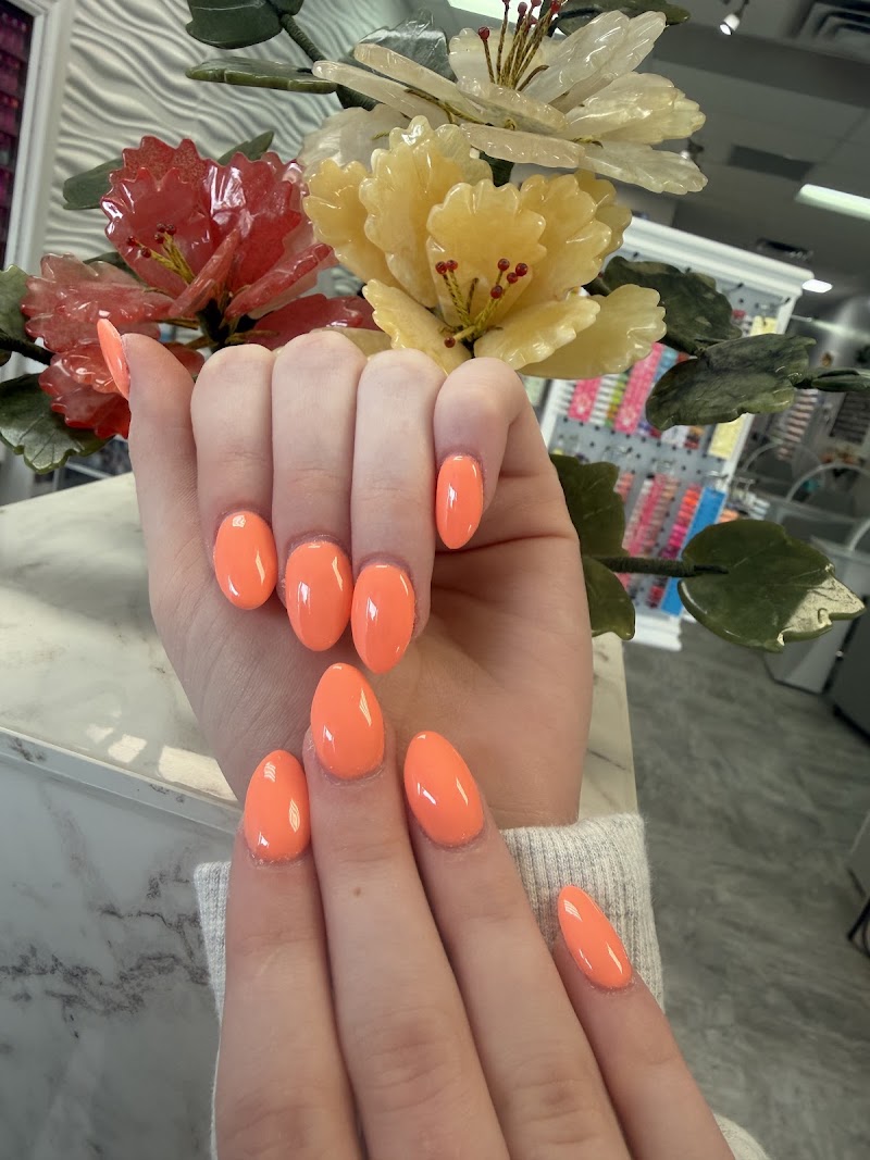 Elite Nails Avon Commons